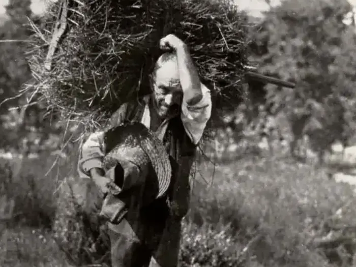Hombre cargando fardo de pasto, 1943